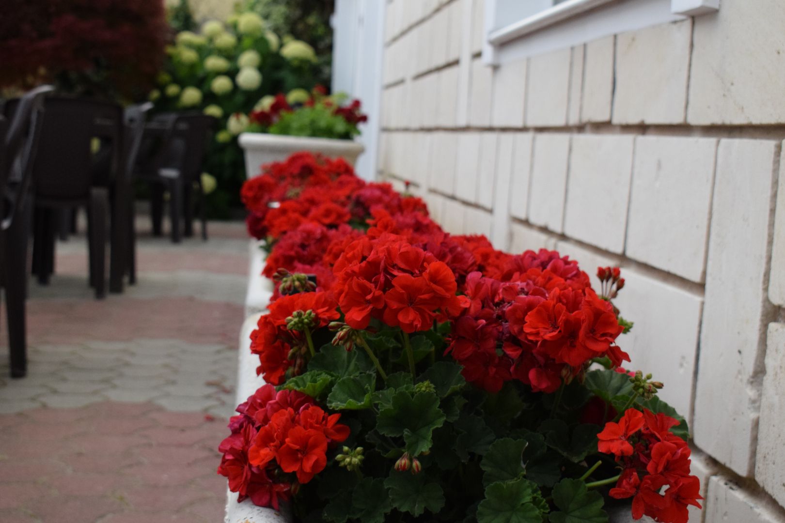 Panoráma Vendégház