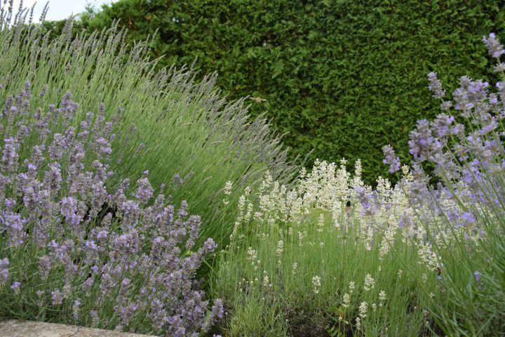 Gasthaus Panoráma – Apartment